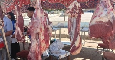 وزارة الصحة توجه نصائح مهمة للتعامل مع اللحوم النيئة فى العيد