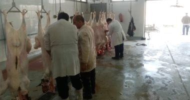 وزارة الزراعة: ذبح أكثر من 20 ألف أضحية بالمجازر الحكومية مجانا حتى الآن