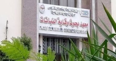 وقاية النباتات يستقبل وفدا لتعزيز التعاون بين مصر ودول أفريقيا