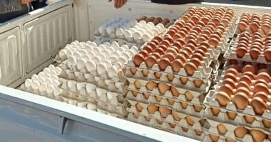 أسعار البيض بكفر الشيخ اليوم السبت 16 أغسطس 2025