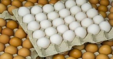 محكمة سويدية تدين أما كسرت بيضة على جبين ابنتها فى فيديو تيك توك