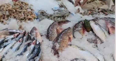 أسعار السمك اليوم الخميس 20-3-2025 فى أسواق الإسماعيلية