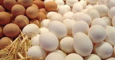 سعر كرتونة البيض اليوم الأحد 18-5-2025 فى سوق زنانيرى بالإسكندرية