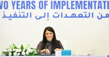 التخطيط: 100 مليار جنيه استثمارات عامة لقطاع الكهرباء والطاقة المتجددةُ خلال 25/2026