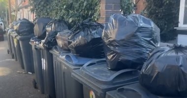 إندبندنت: الفئران والحشرات ومياه الصرف الصحى تغزو مستشفيات بريطانيا