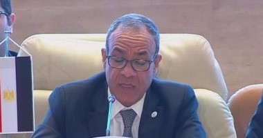 وزير الخارجية والهجرة يتابع سير خدمة التصديق البريدى