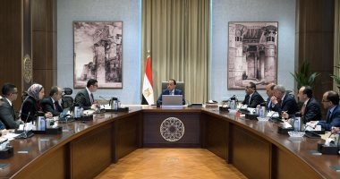 رئيس الوزراء يتابع الموقف التنفيذى لمشروع سد ومحطة كهرباء "جوليوس نيريري" لتوليد الطاقة بتنزانيا