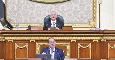 160 مليار جنيه لدعم السلع التموينية والخبز في موازنة 2025/2026
