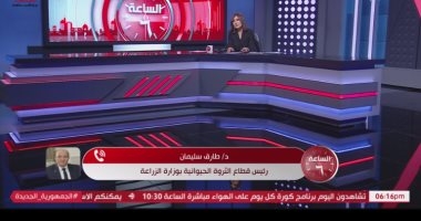 التليفزيون هذا المساء.. انخفاض سعر العلف بنسبة 40% وتوقعات بخفض بأسعار اللحوم