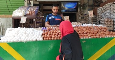 أسعار كرتونة البيض اليوم الثلاثاء 22-4-2025 فى الإسكندرية