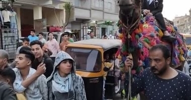 شاب من ذوى الهمم يفاجئ عروسته بزفة على ظهر جمل في الشرقية
