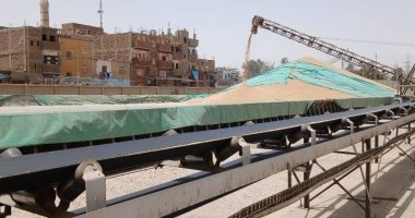 تموين الأقصر تعلن توريد نحو 3029.764 طن قمح لشون وصوامع إسنا وأرمنت