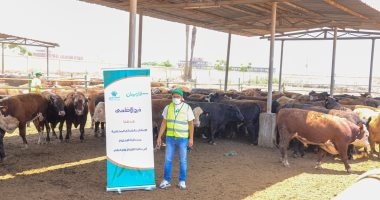 دار الإفتاء توضح حكم الشرع في صك الاضحية؟