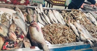 أسعار الأسماك بأسواق مطروح اليوم السبت 16-8-2025.. البورى بـ 150 جنيها