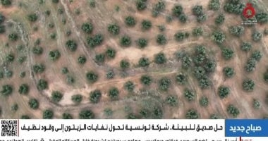 من نفايات الزيتون إلى طاقة نظيفة.. حل تونسى صديق للبيئة يلفت الأنظار