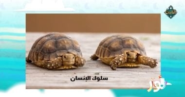 "نور" المذاع على قناة الناس يعلم الأطفال: تغير المناخ يهدد بعض الحيوانات بالانقراض