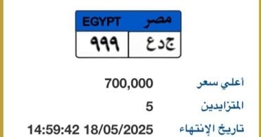 طرح لوحة سيارة مميزة رقمها "جـ د ع - 999" بسعر 700 ألف جنيه