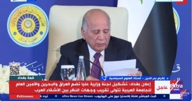 أستاذ علوم سياسية: هناك تحدى وجودى للدول العربية سيدفعها لمزيد من التنسيق