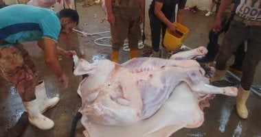 قبل عيد الأضحى.. اعرف أماكن المجازر الحكومية لذبح الأضاحى بالإسكندرية