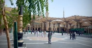 رئيس بعثة الحج: وصول 5850 حاجا مصريا للمدينة وبدء وصول الرحلات لمكة