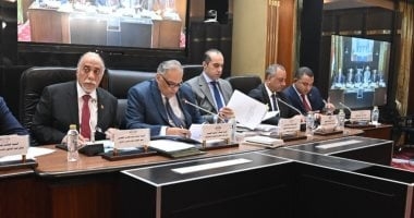 محمود فوزى: الحكومة توافق على تعديل قانون مجلس النواب والدوائر الانتخابية