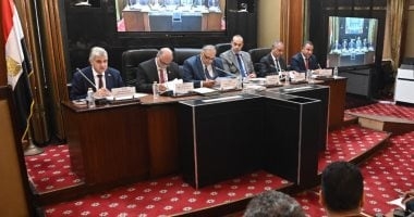 "تشريعية النواب" توافق مبدئيا على تعديل قانون مجلس النواب وتقسيم الدوائر