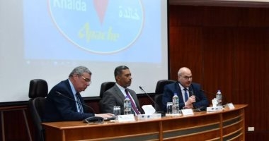 ورشتا عمل لمشروعات التحول الطاقى بالصحراء الغربية والمنطقة البترولية بالإسكندرية