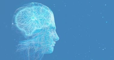 أكتر تطبيق ذكاء اصطناعي بيجمع معلومات عنك.. Gemini على رأس القائمة