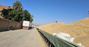 أنهار الذهب الأصفر مستمرة في الجريان على شون وصوامع الأقصر.. توريد 20 ألف طن قمح لشون إسنا وأرمنت.. وكيل التموين: 4 نقاط جاهزة لاستلام المحصول.. والمحافظ يوجه بتوفير أعلى معايير الأمن والسلامة.. فيديو وصور