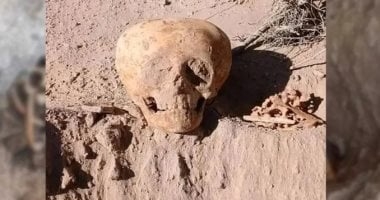 كشف لغز الجمجمة الغامضة فى الأرجنتين.. اعرف الحكاية