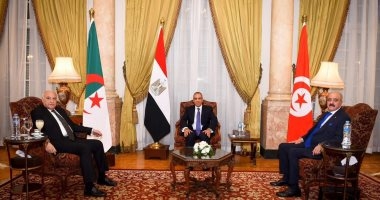 البيان الختامي لاجتماع وزراء خارجية مصر وتونس والجزائر بشأن ليبيا