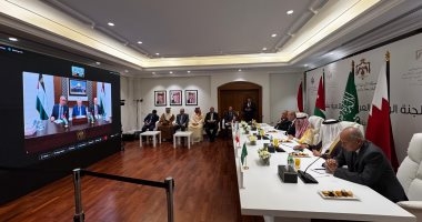 وزير الخارجية يشارك فى اجتماع اللجنة الوزارية العربية الإسلامية مع ملك الأردن