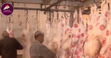 الخدمات البيطرية: ذبح مجانى وآمن للأضاحى وفق الشروط الشرعية والصحية