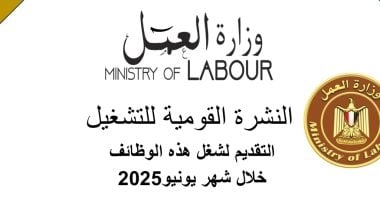 وزارة العمل: 3209 فرصة عمل جديدة فى 59 شركة خاصة تنتظر شباب 14 محافظة