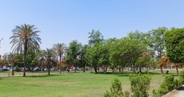 تعرف على حالة الطقس اليوم الخميس 12-6 -2025 فى الإسماعيلية.. فيديو