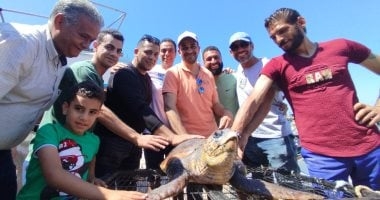 العثور على سلحفاة بحرية من محمية يونانية على سواحل الإسكندرية.. مباشر