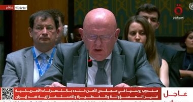 مندوب روسيا في مجلس الأمن: نندد بالتصرفات الأمريكية الخطيرة ضد إيران