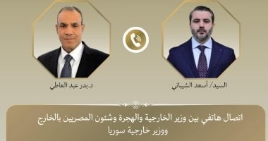 وزير الخارجية يؤكد دعم مصر لتدشين عملية سياسية ذات ملكية سورية