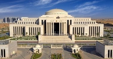 أبرزها الحصانة البرلمانية.. حقوق عضو مجلس الشيوخ.. فيديو