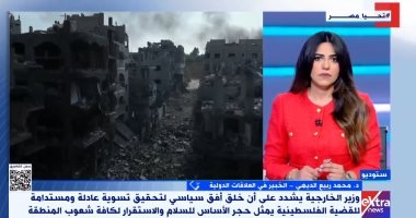 خبير: جهود مصر لتحريك التهدئة فى غزة محورية ووقف إطلاق النار قريب ولكن مؤقت
