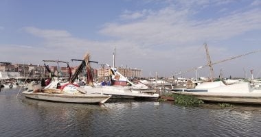 وزارة الزراعة تكشف الأسباب العلمية وراء نفوق الأسماك فى مزارع بحيرة المنزلة