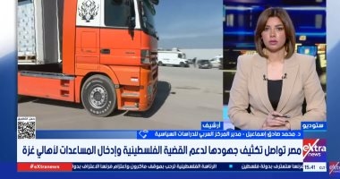 محمد صادق إسماعيل: ثبات الموقف المصري تجاه فلسطين يعكس التزامًا استراتيجيًا