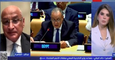 السفير خالد البقلي: الطرح المصري لإعادة إعمار غزة حظى بتأييد عربي وإسلامي وأوروبي وأممي