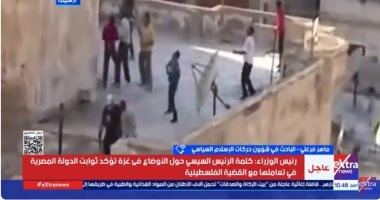 ماهر فرغلى: "الإخوان" استغلت القضية الفلسطينية لتشويه مصر وتحقيق مصالحها