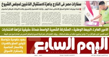 سفارات مصر فى الخارج جاهزة لاستقبال الناخبين لمجلس الشيوخ.. غدا بـ"اليوم السابع"