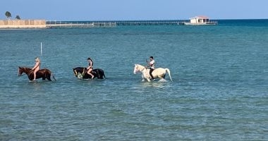 ركوب الخيل على شواطئ الغردقة.. تجربة ساحرة تجذب العشاق والسياح (صور)