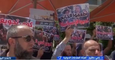 أستاذ علاقات دولية: تظاهرات الإخوان تخدم إسرائيل وتكشف الاتجار بالقضية