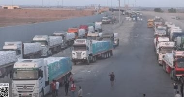 عبور 21 شاحنة مساعدات إماراتية ضمن القافلة الـ15 للفلسطينيين بقطاع غزة