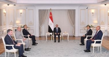 مصر وتركيا تؤكدان رفض إعادة الاحتلال العسكرى لغزة وضرورة وقف إطلاق النار