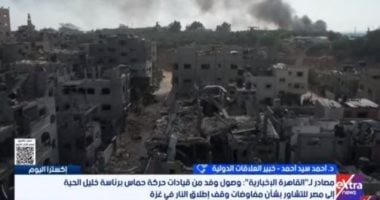 خبير: مصر تتحرك فى كل الاتجاهات والمسارات بشكل متزامن ومتكامل لدعم الفلسطينيين